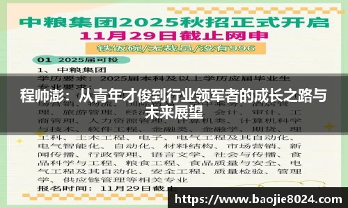 程帅澎：从青年才俊到行业领军者的成长之路与未来展望
